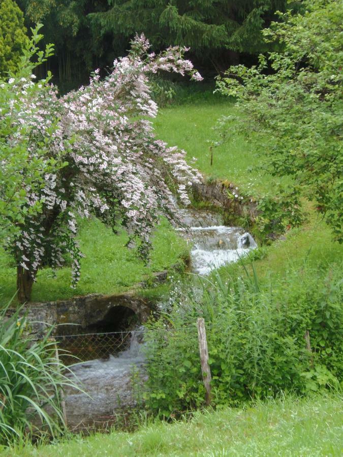 La Chabotine Bed & Breakfast Allas-Les-Mines Екстериор снимка